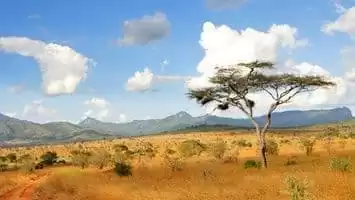 Ghana