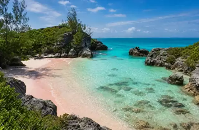 Jobson’s Cove