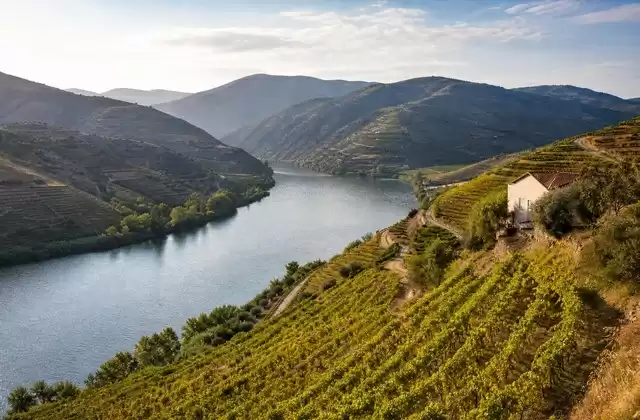 Valle del Duero