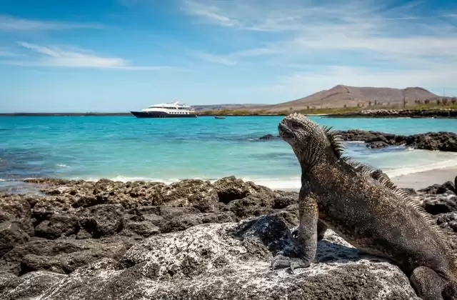 En las Galápagos