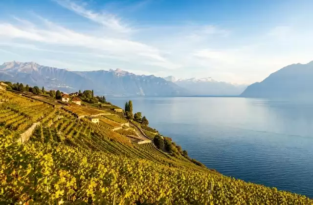 Desde Lavaux
