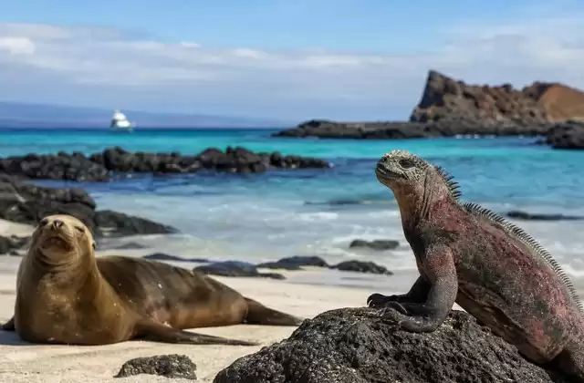 Galápagos