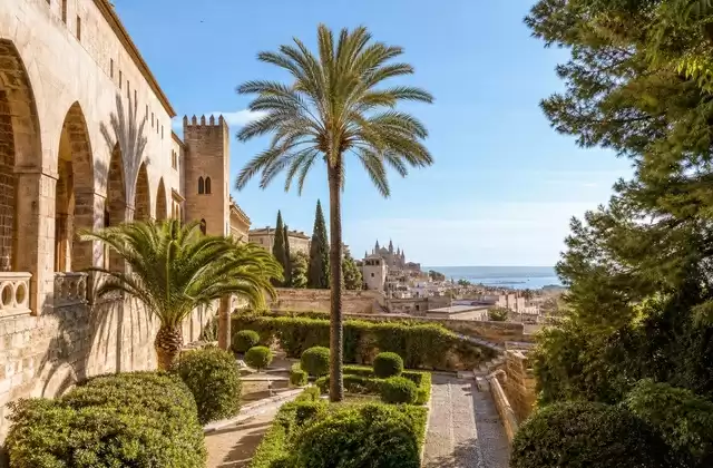 Palma