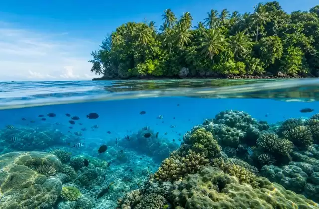 Arrecifes de Kosrae