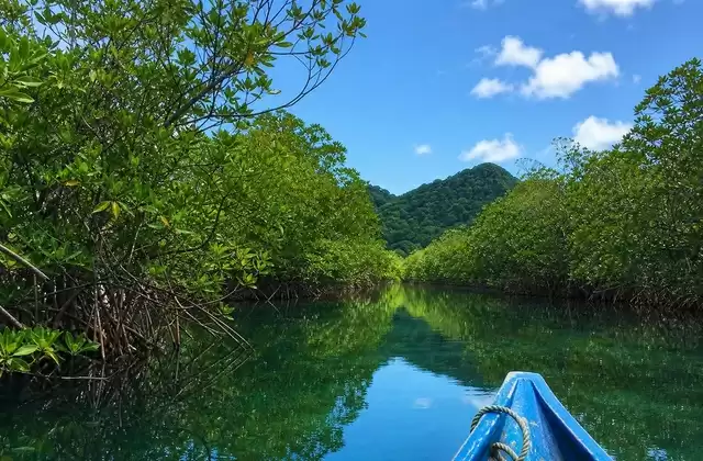 Manglares de Kosrae