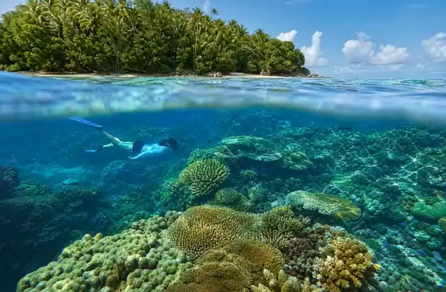 Arrecifes de Kosrae