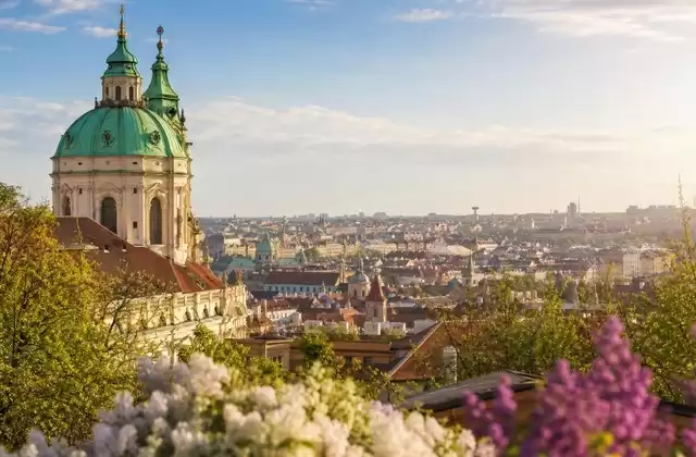 Viena