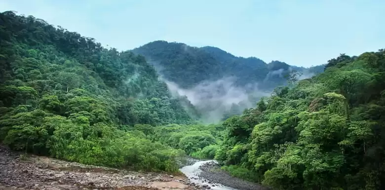 Curú